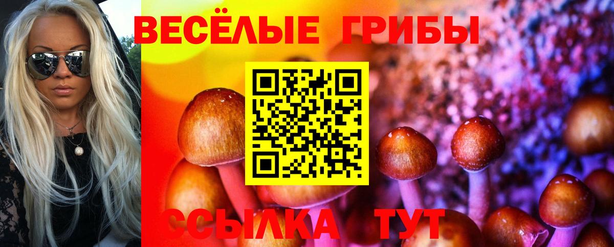 Галлюциногенные грибы мухоморы  Вход с VPN  Псилоцибиновые грибы ЛСД  Дмитров 